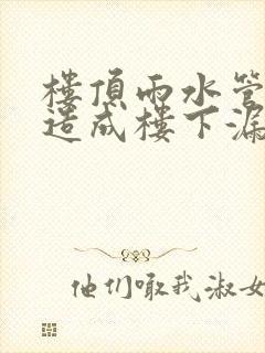 楼顶雨水管堵塞造成楼下漏水责任是谁