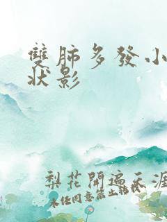 双肺多发小结节状影