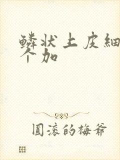 鳞状上皮细胞3个加