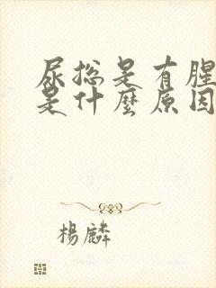 尿总是有腥臭味是什么原因