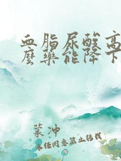 血脂尿酸高吃什么药能降下来