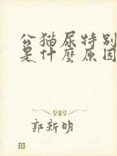 公猫尿特别难闻是什么原因