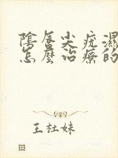 阴唇尖疣湿锐是怎么治疗的