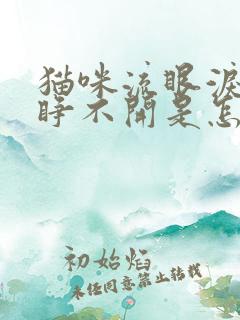 猫咪流眼泪眼睛睁不开是怎么回事