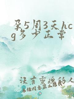 孕5周3天hcg多少正常