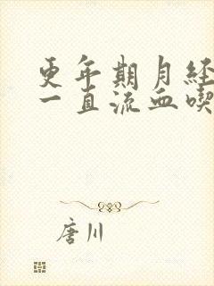 更年期月经不停一直流血吃什么药