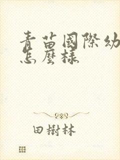 青苗国际幼儿园怎么样