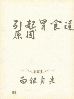 引起胃食道反流原因