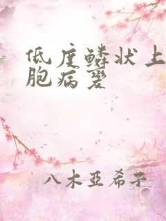 低度鳞状上皮细胞病变