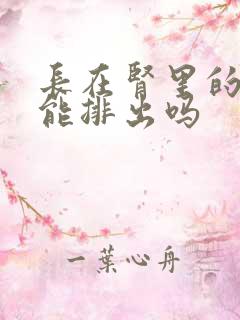 长在肾里的结石能排出吗