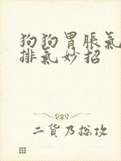 狗狗胃胀气快速排气妙招