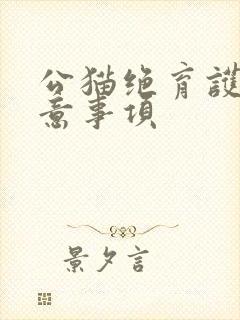 公猫绝育护理注意事项