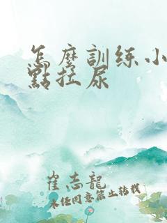 怎么训练小狗定点拉尿