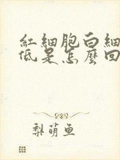 红细胞白细胞都低是怎么回事