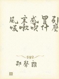 风寒感冒引起的咳嗽吃什么药