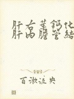 肝右叶钙化灶和肝内胆管结石