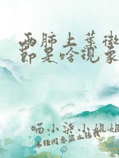 两肺上叶微小结节是啥现象