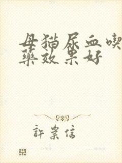 母猫尿血吃什么药效果好