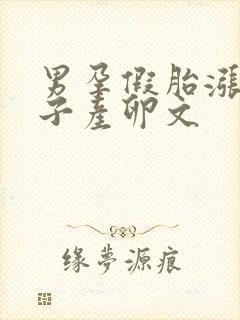 男孕假胎涨奶产子产卵文