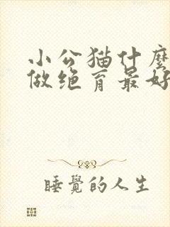 小公猫什么时候做绝育最好