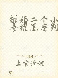 离婚二个小孩抚养权怎么判