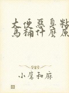 大便恶臭粘稠粘马桶什么原因