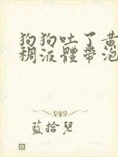 狗狗吐了黄黄粘稠液体带泡沫