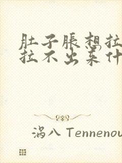 肚子胀想拉屎又拉不出来什么原因