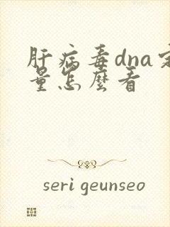 肝病毒dna定量怎么看