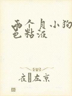 两个月小狗吐白色粘液