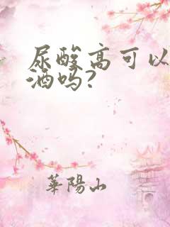 尿酸高可以喝啤酒吗?