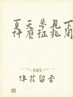 夏天梦见下雪是什么征兆周公解梦