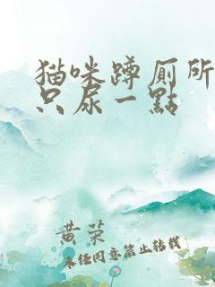 猫咪蹲厕所很久只尿一点