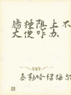 肠梗阻上不出来大便咋办