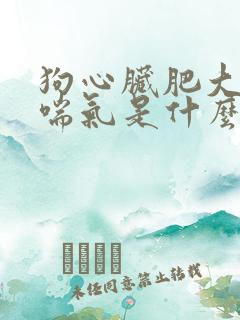 狗心脏肥大急促喘气是什么原因