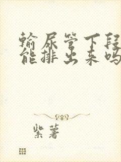 输尿管下段结石能排出来吗