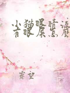 小猫眼睛流眼泪有眼屎怎么回事