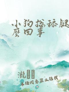 小狗总舔腿是怎么回事