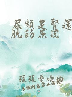 尿频是肾还是膀胱的原因