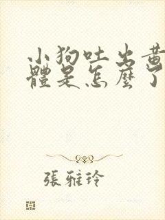 小狗吐出黄色液体是怎么了