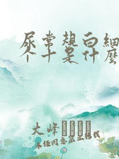 尿常规白细胞一个十是什么原因?