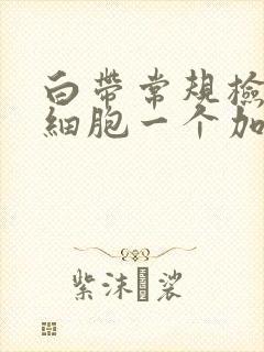 白带常规检查白细胞一个加