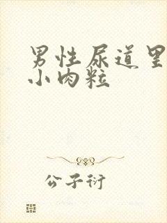 男性尿道里面有小肉粒