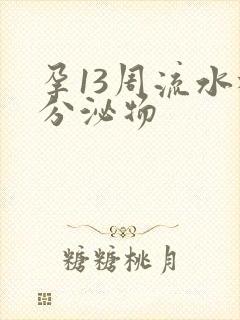 孕13周流水样分泌物