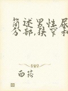 简述男性尿道的分部,狭窄和弯曲