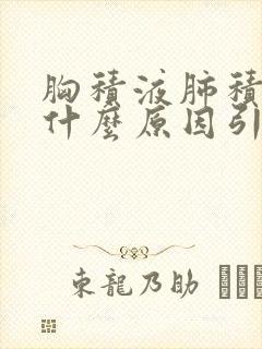 胸积液肺积水是什么原因引起的