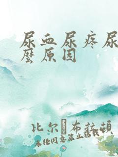 尿血尿疼尿急什么原因