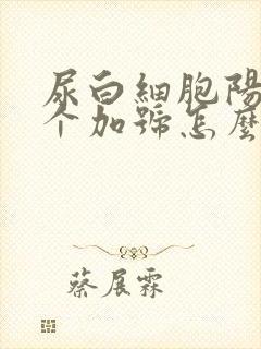 尿白细胞阳性2个加号怎么回事