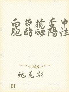 白带检查中白细胞酯酶阳性