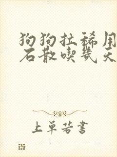 狗狗拉稀用蒙脱石散吃几天